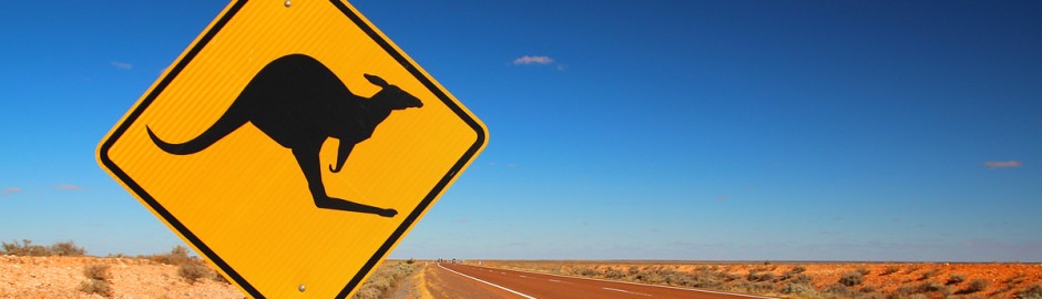 Panneau routier kangourou